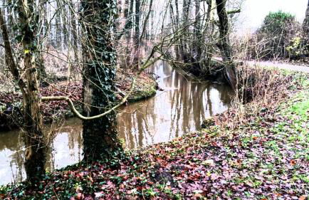 Hemich-Esch - Foto 14