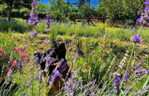 Agriturismo La Corte del Sole - Foto 95