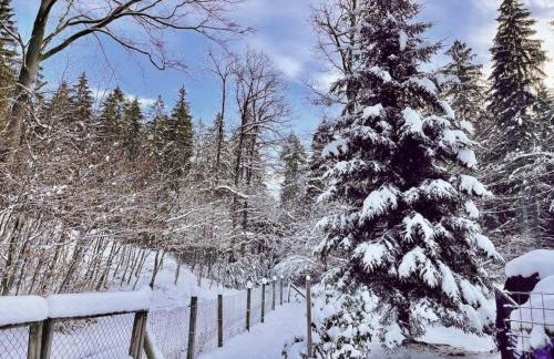 Holiday Home Jägerhaus by Interhome - Foto 57