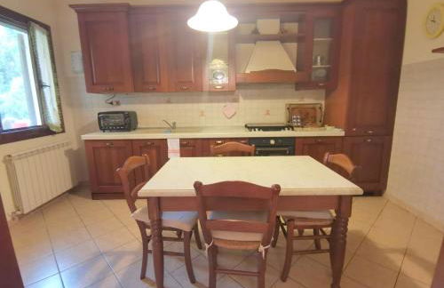 PERLA DEL DELTA - Foto 15