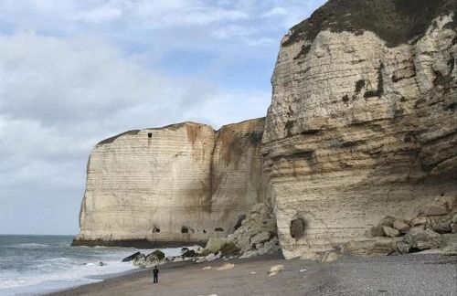 Beautiful 19th century host house near from Etretat - Foto 40