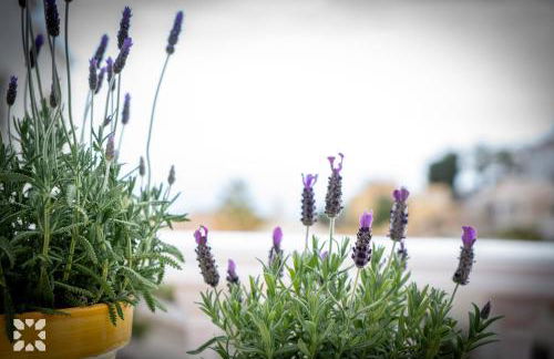 Villa Camilo by Abahana Villas - Foto 20