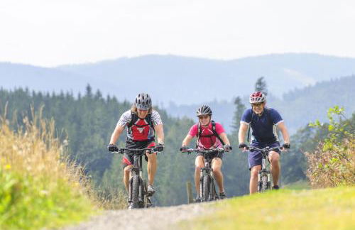 Ferienwohnung Elfriede - WLAN, 2 Bäder, Küche, Freisitz, 2 Parkplätze, im Ortskern - Foto 35