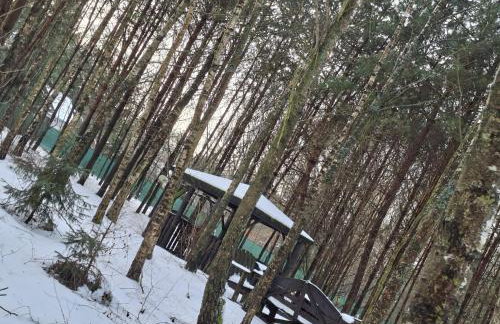 Leśny Zakątek Lipinki Bory Tucholskie - sauna - Foto 41