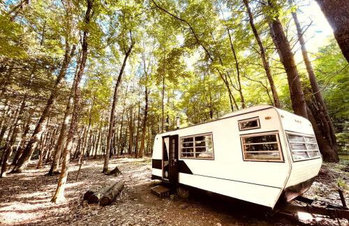 Romantic Glamping Getaway in a Pet Friendly Caravan, Ideal to Explore Hudson Valley - Foto 1
