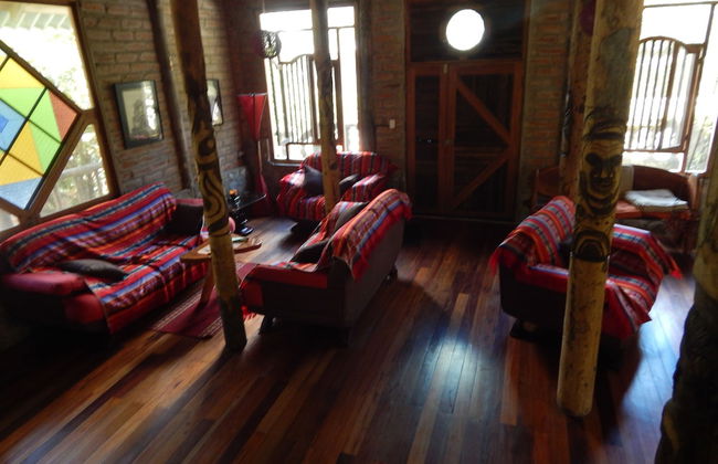 Dogs and Fish Dream Land - Foto 11