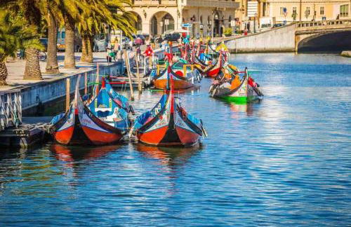 Lux 56 Praia da Barra Aveiro A 20 metros da Praia - Foto 21