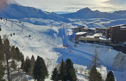 Plein Sud, skis aux pieds, linge & ménage inclus---South-facing, SKI-IN-OUT, all included---Arc 2000, Le Varet - Foto 21