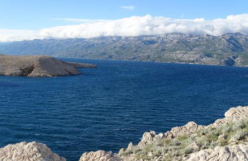 Apartments Šime - Foto 45