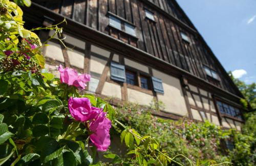 Historischer Vogtshof: eingezäunt | sonniger Garten | Kamin | Denkmalschutz - Foto 33