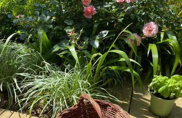 Casa Sant Angelo - Photo 66