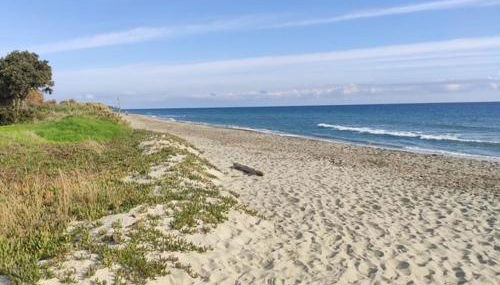 T3 - accès direct plage dans résidence avec piscine - Foto 2