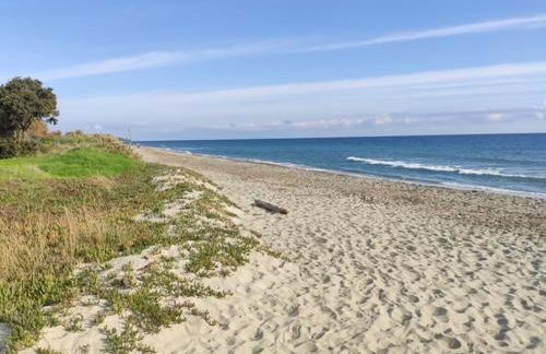 T3 - accès direct plage dans résidence avec piscine - Foto 2