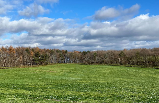 Cottage Alice - Foto 48