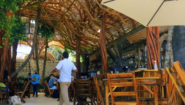 Puerto Morelos Taco Tour - Foto 5