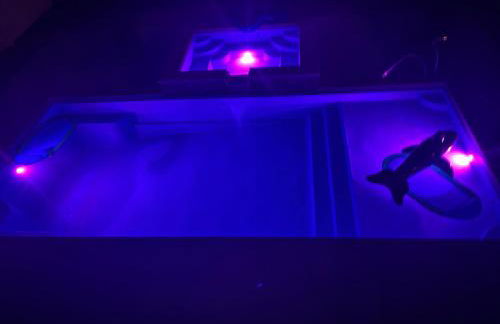 Swanky Seahorse - Foto 58