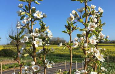 DOMAINE D'ELUSA - Photo 58