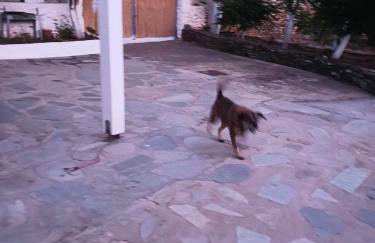 Ακροδεα - Photo 8