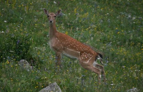 Alba D'Esteve. Casa Rural - Photo 39