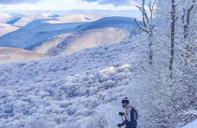 WOODSTOCK HISTORIC ARTIST ESTATE - THE MUSEUM HOUSE - Foto 57