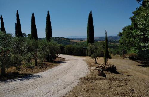 PODERE TORRICELLE 69B Pancole Gr, seaview infinity pool, jacuzzi, sauna, exclusive villa with 2 bedrooms for 4 - If you total 5 or 6 people there is an independent suite in main villa with private ensuite bathroom, kitchenette and garden dining area - Foto 60