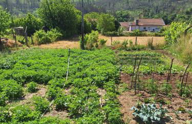 Villa Boas House - Foto 10