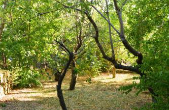 FoREST Heritage Apartment - Foto 31