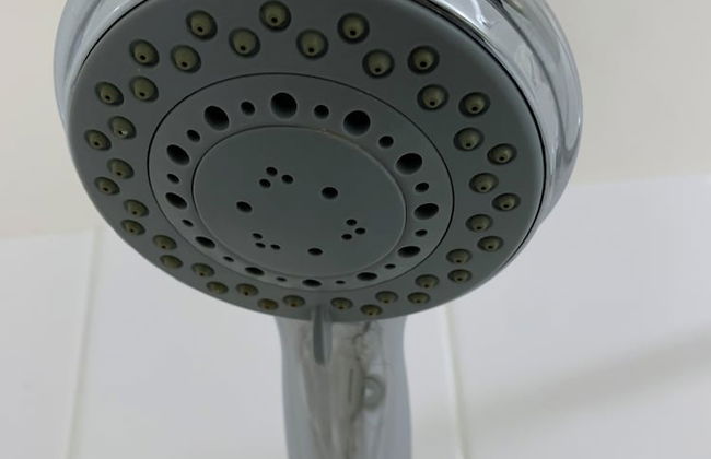 Eltham Retreat - Photo 42