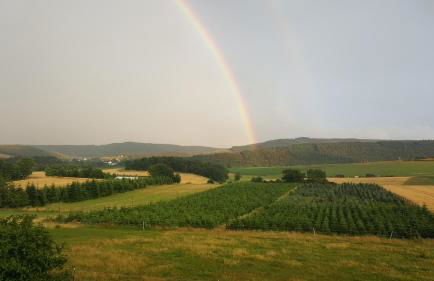 Ferienwohnung Haus Weitblick - Foto 29