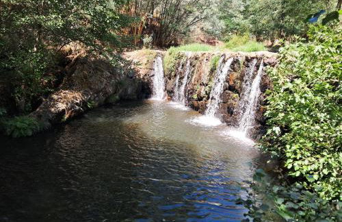 Casa do Sardão - Foto 18