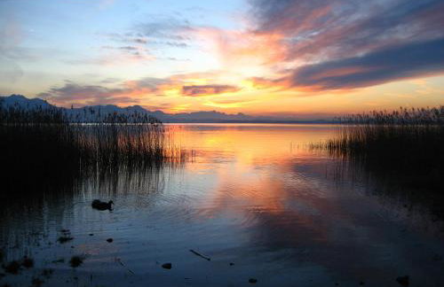 Beim Paulfischer - Eckbankerl - Foto 23