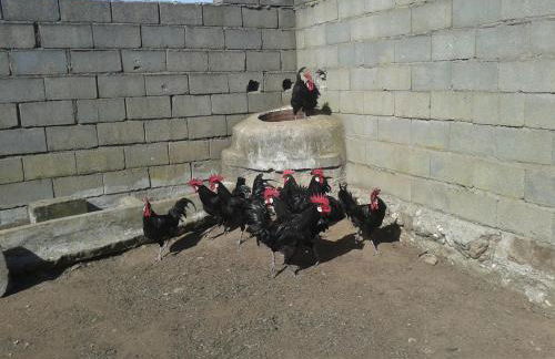 Casa Rural la Vallejera - Foto 92