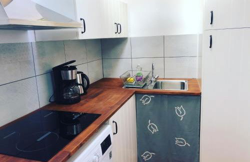 Casinhas da Figueira - Foto 6