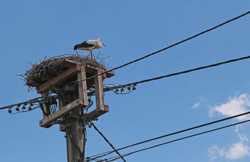 Ferienwohnung-Monteurzimmer Rolandseck - Foto 8