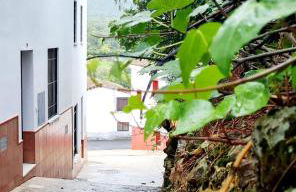 La Casa Junto al Sendero del Río & chimenea y leña incluida - Foto 34