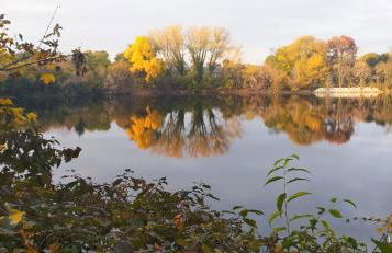 Casa Laghetto Policlinico - Foto 16