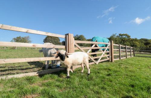 Stags Mount - Foto 33