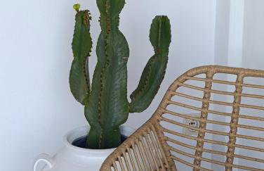 Plakourakia - Photo 48