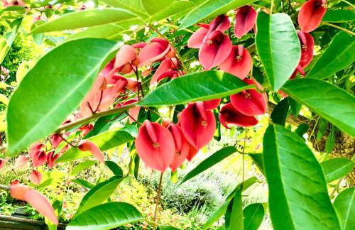 Country House Felicia - Foto 22