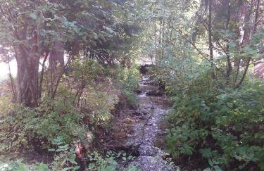 Sanctuary Farm Log Cabin Mountain Getaway, Alberton, MT - Foto 16