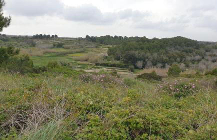 dal tramonto all'alba in Salento - Foto 22