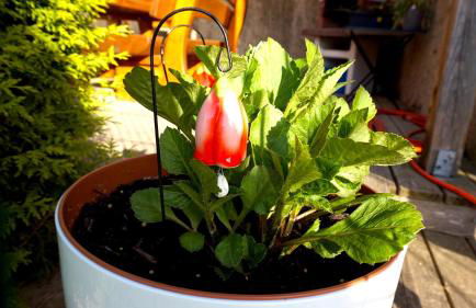 Auszeit Sembzin - Foto 23