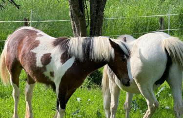 Appartement de luxe - Foto 35