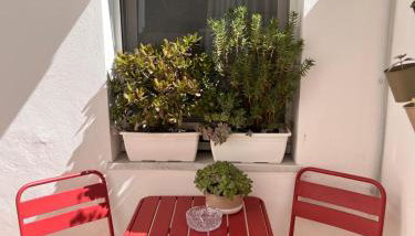 Casa Curiosa - Foto 2