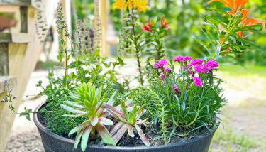 Iron Gate Chalet - 5 Minutes to Smugglers Notch! - Foto 3