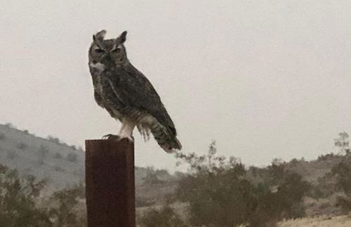 JT Park Villa 360 Views and Starlink on 10 acres - Foto 37