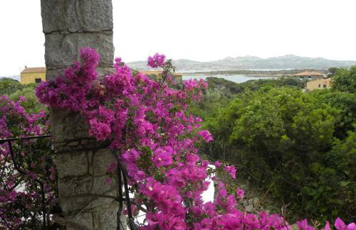 Villa Carlotta la Maddalena - Foto 16