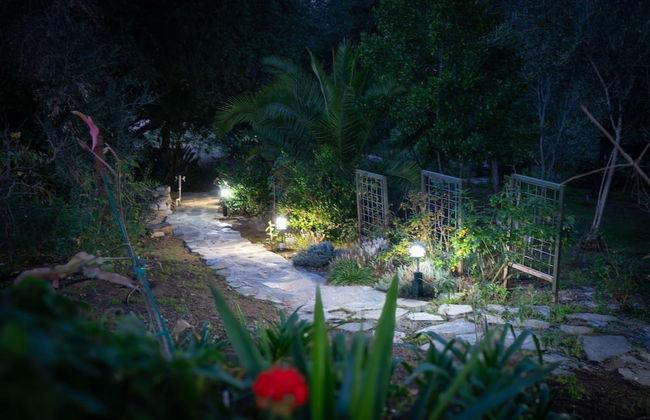 Nature Inspired Villa Designed for Wellness - Foto 67