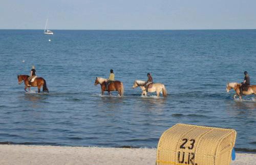 6 person holiday home in GROEMITZ - Photo 29