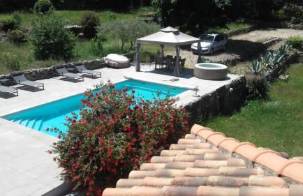 la lavande bleue - Foto 4